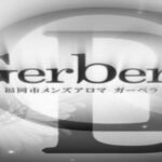 【博多メンズエステ Gerbera ガーベラ】出張マッサージ・アロマエステ - 博多メンズエステ【Gerberaｰガーベラ】メンズアロマ